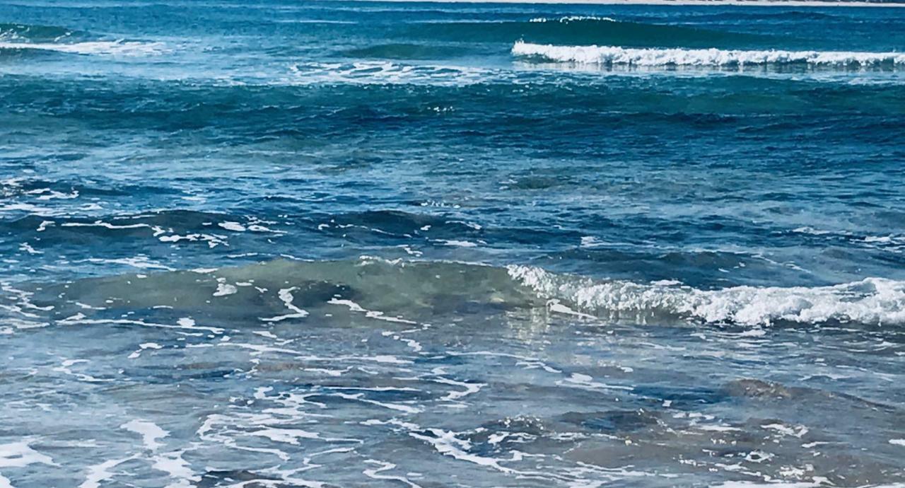Atlantic Surf Apartment Ferrel  Εξωτερικό φωτογραφία